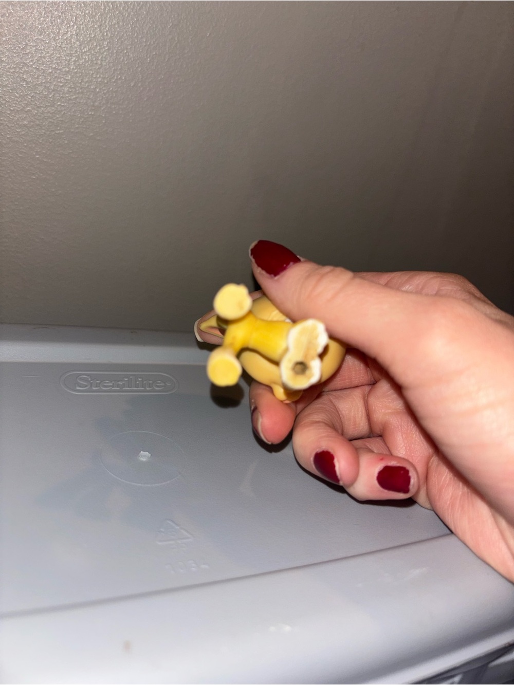 Littlest Pet Shop LPS #875 Yellow Greyhound Eye drop - Picture 8 of 9